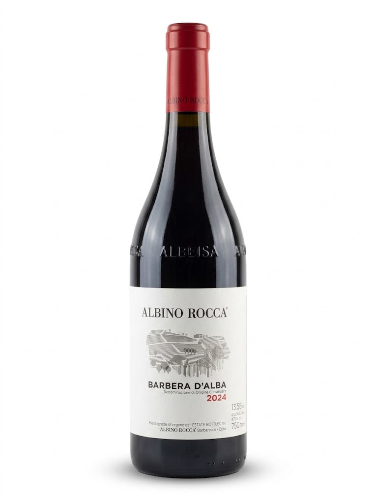 Barbera d'Alba DOC 2024 Albino Rocca