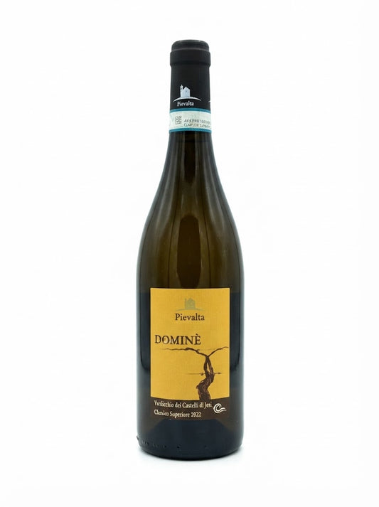 Verdicchio dei Castelli di Jesi Classico Superiore DOC "Dominè" 2022 della cantina Pievalta