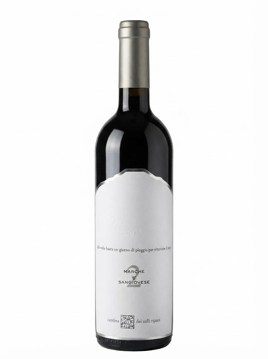 Sangiovese Marche IGT "Capitolo n. 2" 2025 Cantina dei Colli Ripani