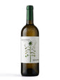 Vermentino 2025 Monteverro